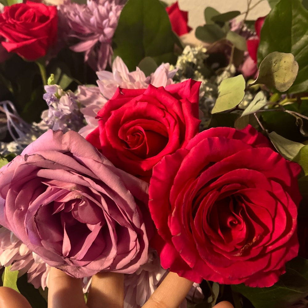 Meet your Posher, Estrella